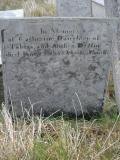 image of grave number 296479